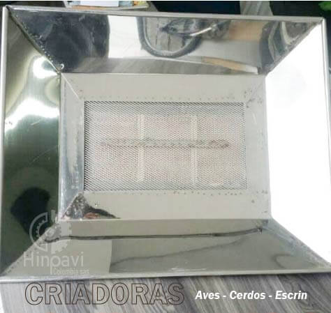 Criadoras-Aves-y-Cerdos